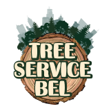 ТриСервисБел